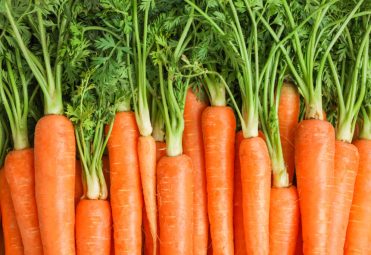 Ripe fresh carrots as background, space for text