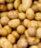 Everything You Should Know About Potatoes